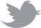 Twitter Icon